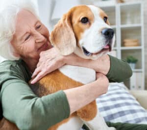 Animaux de compagnie et séniors : des bienfaits avérés !