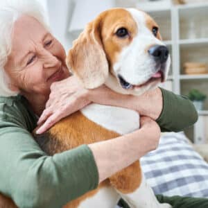 Faut-il souscrire une assurance santé pour son animal de compagnie ?