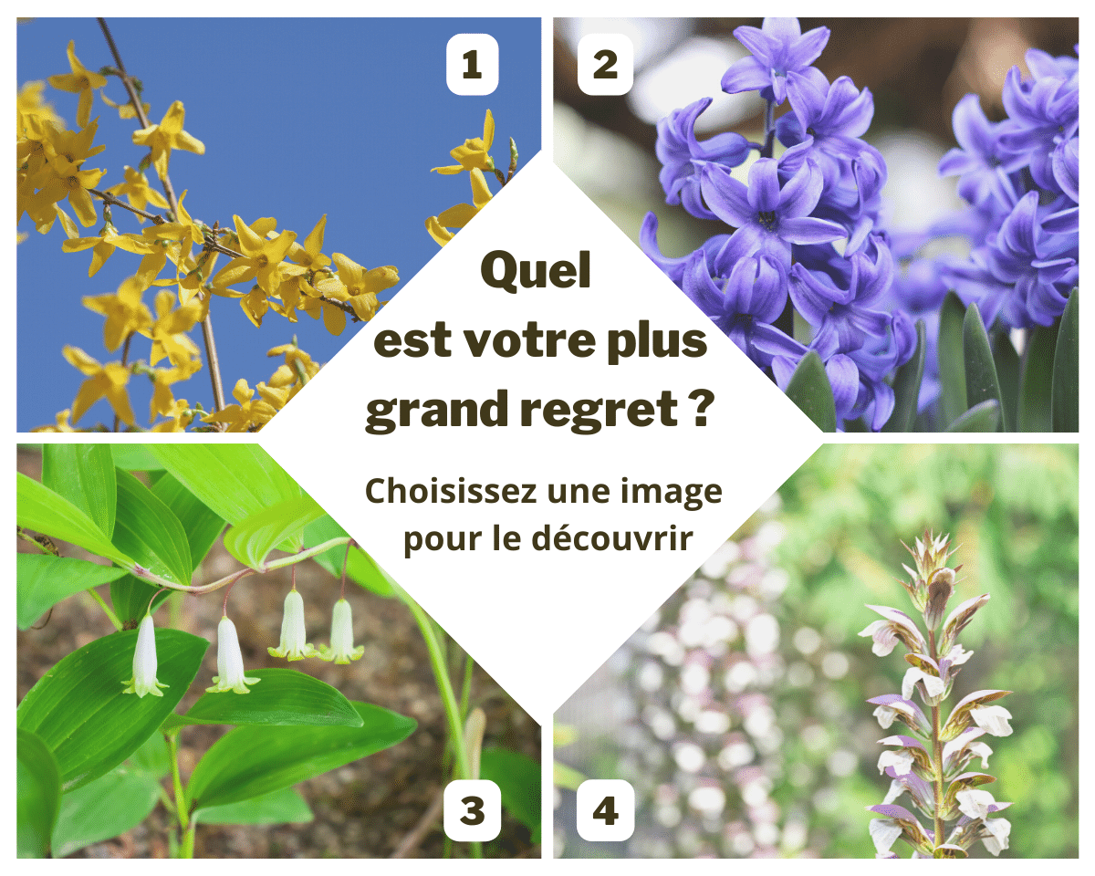 Test de personnalité (Exclusif) : quel est votre plus grand regret ?