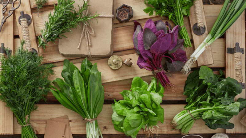 Astuce : dites stop aux salades et aux herbes défraîchies ! Voici comment conserver leur fraîcheur !