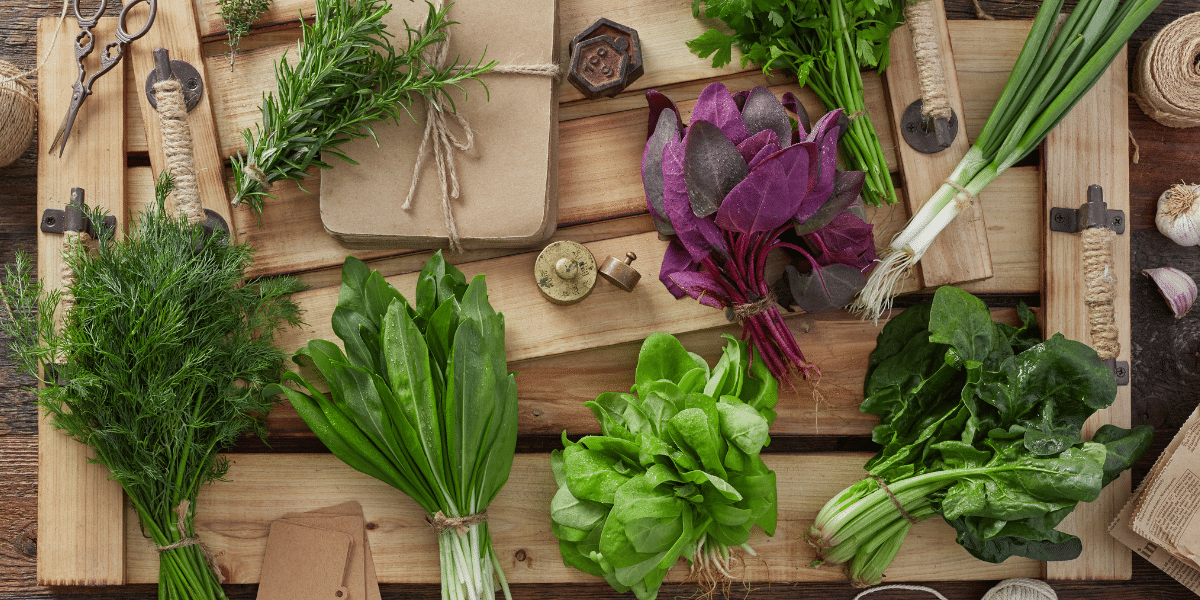 Astuce : dites stop aux salades et aux herbes défraîchies ! Voici comment conserver leur fraîcheur !