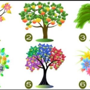 Test de personnalité : choisis un arbre et découvre un trait dominant de ta personnalité !