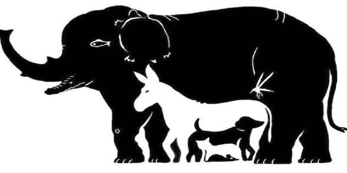 Test de personnalité : Combien d’animaux arrivez-vous à compter sur cette image ? Votre résultat en dit beaucoup sur vous !