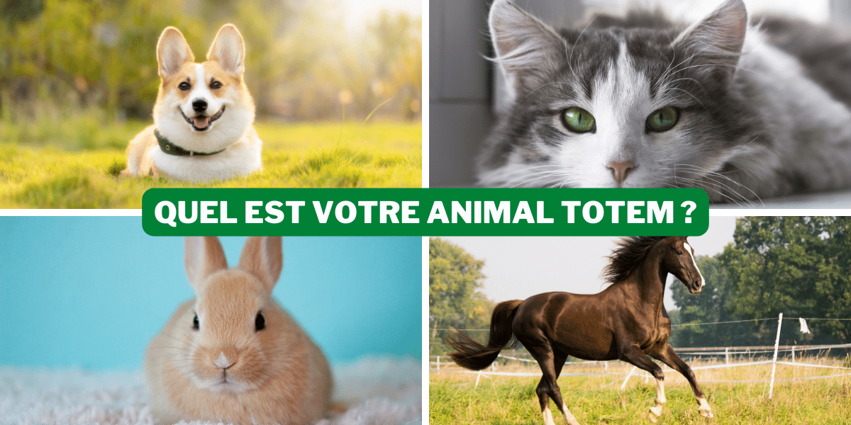 Test de personnalité : quel est votre animal totem ?