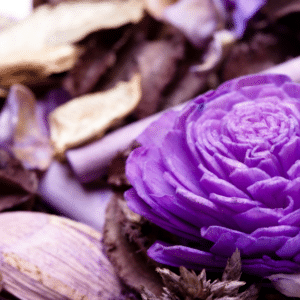 Astuces : Parfumez agréablement votre intérieur en faisant vous-même votre pot pourri !