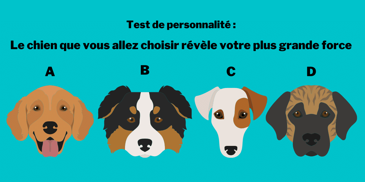 Test de personnalité : le chien qui vous attire le plus vous dévoile votre plus grande force