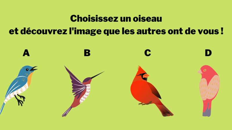 Test de personnalité : choisissez un oiseau et découvrez l’image que vous renvoyez aux autres