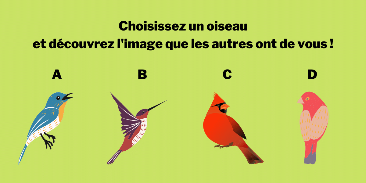 Test de personnalité : choisissez un oiseau et découvrez l’image que vous renvoyez aux autres