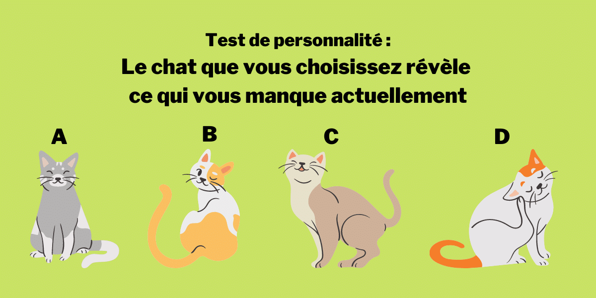Test de personnalité : le chat que vous choisissez révèle ce qui vous manque actuellement