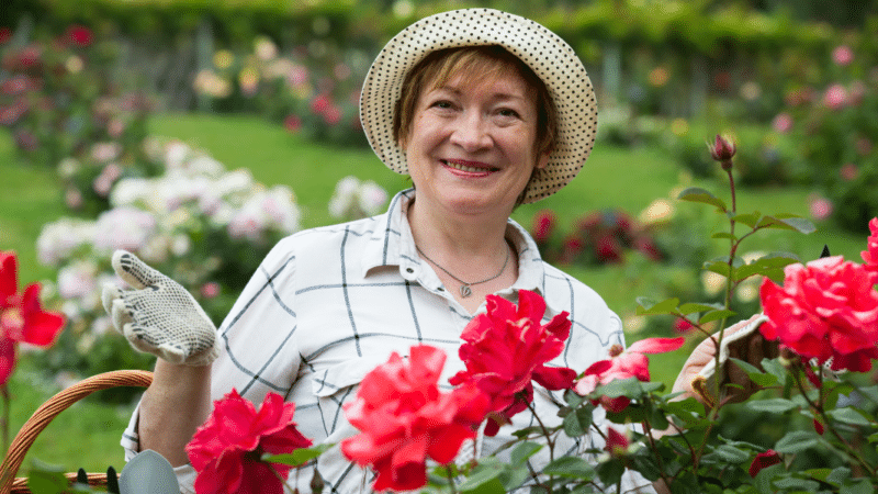 Jardin : 4 astuces pour protéger vos rosiers des pucerons !