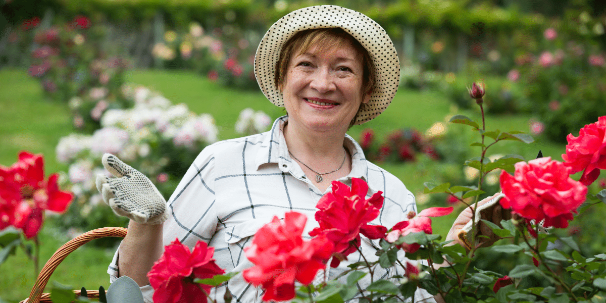 Jardin : 4 astuces pour protéger vos rosiers des pucerons !