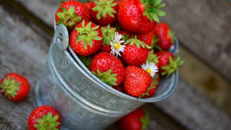 Astuces : Conserver des fraises plus longtemps ? Voici quelques petits trucs simples à faire.