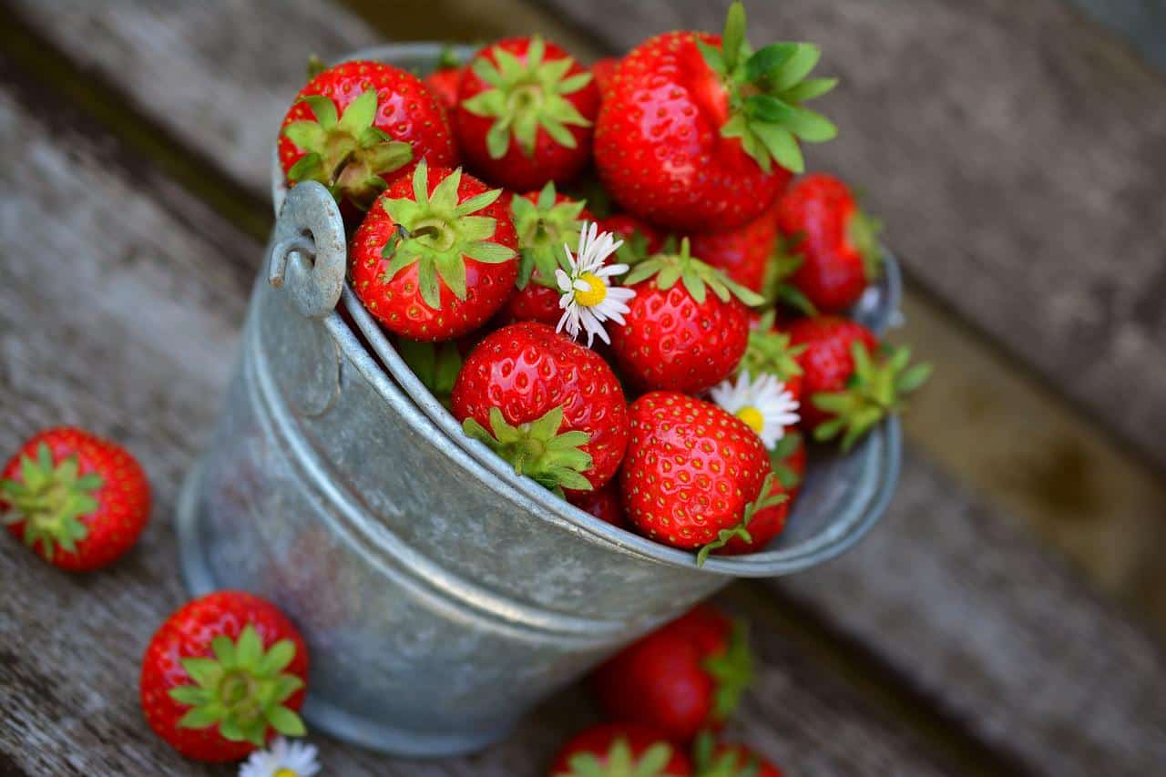 Astuces : Conserver des fraises plus longtemps ? Voici quelques petits trucs simples à faire.