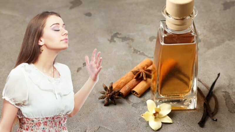 La cannelle, l’ingrédient secret pour votre parfum d’intérieur
