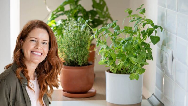 Les plantes aromatiques à risque? Découvrez comment les faire s’épanouir même quand il fait froid