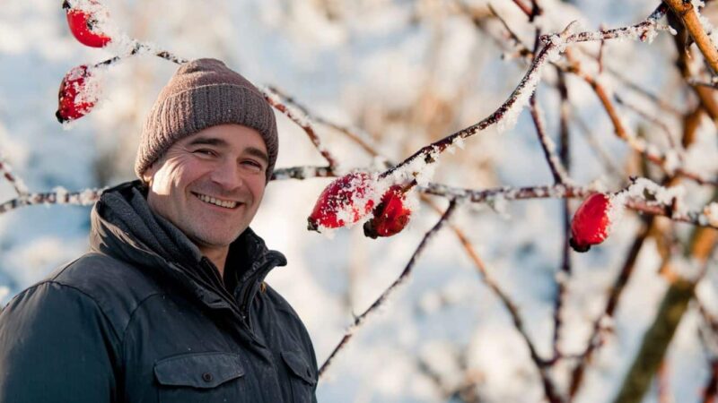 Sauvez vos roses du froid: le calendrier des traitements de février que vous ne pouvez pas manquer!