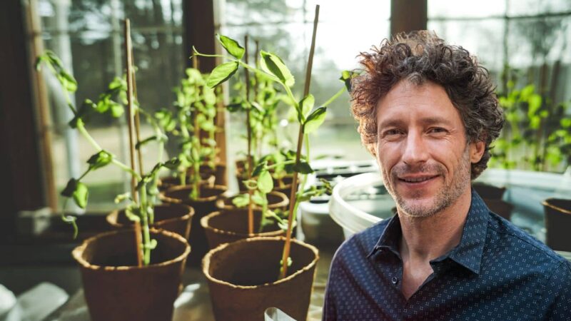 Faites le printemps à l’avance: le guide complet de la coupe d’hiver!