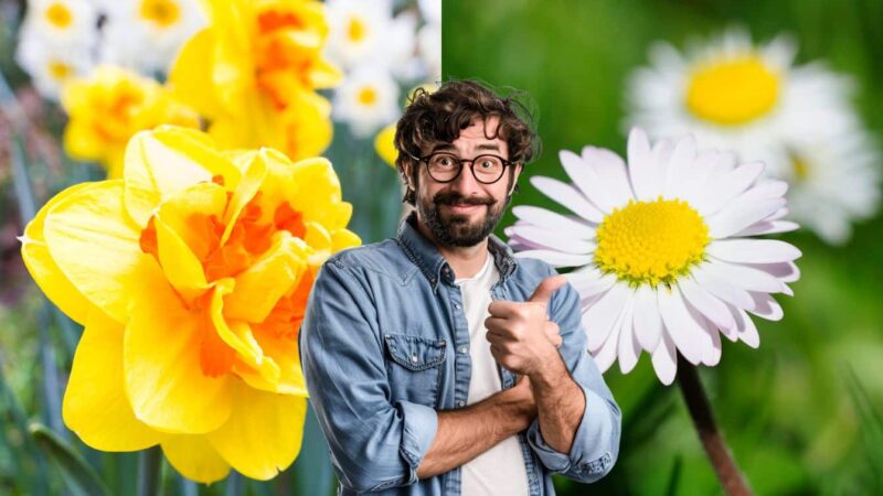 Voulez-vous un jardin de fleurs sans effort? Voici les fleurs parfaites à planter en mars
