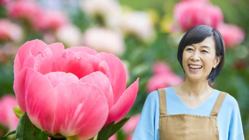 Transformez votre jardin avec le pouvoir caché des pivoines!