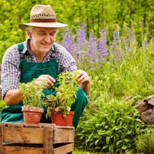 Quelles plantes transformeront votre jardin en février et mars!