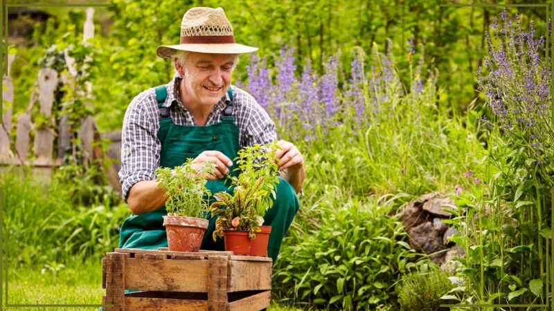 Quelles plantes transformeront votre jardin en février et mars!