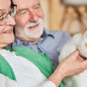 Votre chat vous ignore-t-il? Découvrez pourquoi vous n’êtes pas le favori!