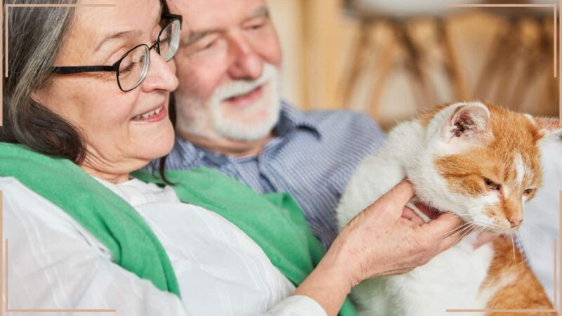 Votre chat vous ignore-t-il? Découvrez pourquoi vous n’êtes pas le favori!