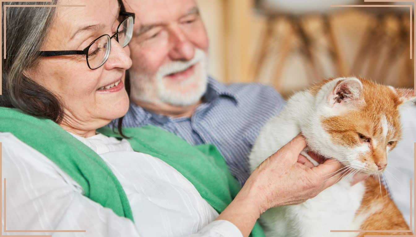 Votre chat vous ignore-t-il? Découvrez pourquoi vous n’êtes pas le favori!