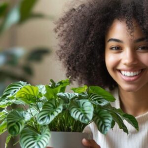 Maranta en léthargie? Voici comment le réveiller pour le printemps