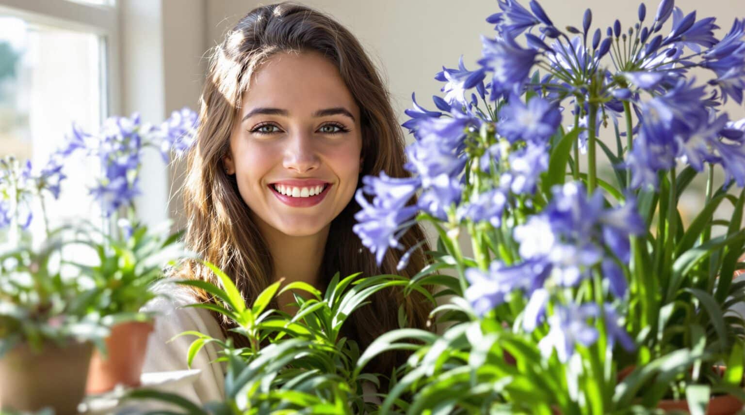 découvrez comment cultiver facilement l'agapanthes en pot pour donner un coup de fouet à vos plantes d'intérieur. suivez nos conseils pratiques et transformez votre espace en un véritable oasis de verdure.