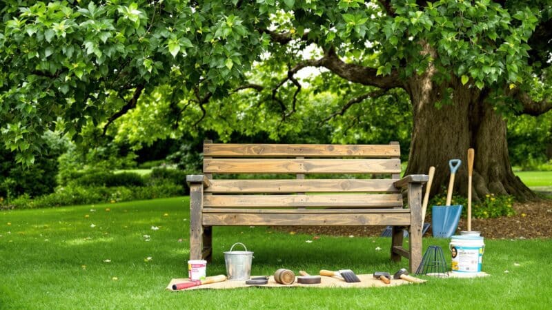 comment lutter efficacement contre les vers du bois
