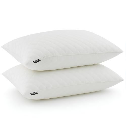Promo Linge Lot de 2 Oreillers, Coussins à Mémoire de Forme, Spécial Cervicale, Jean Louis Scherrer. (50X70 cm)