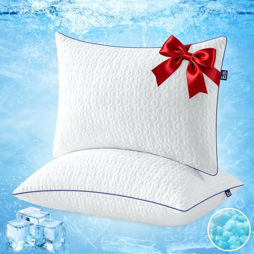 BedStory Oreiller Lot de 2 Oreiller Mémoire Forme 40x60 - Ergonomique Cervical - Infusé de Gel Rafraîchissant - Housse Lavable Soie Glacée - Hauteur Personnalisable- Hypoallergéniques